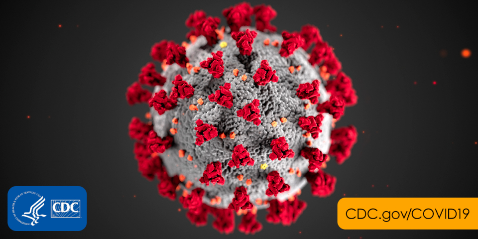 CDC Illustration of SARS-COV2 Virus